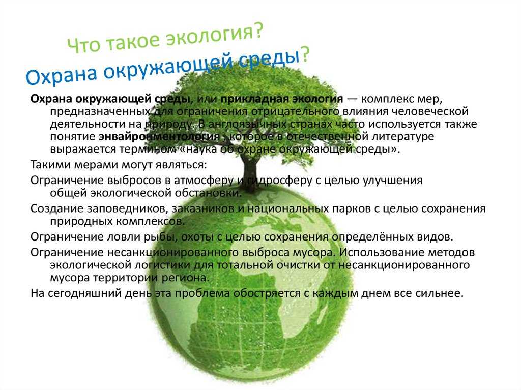 Час земли: 5 экологичных привычек от greenpeace | сила лиса