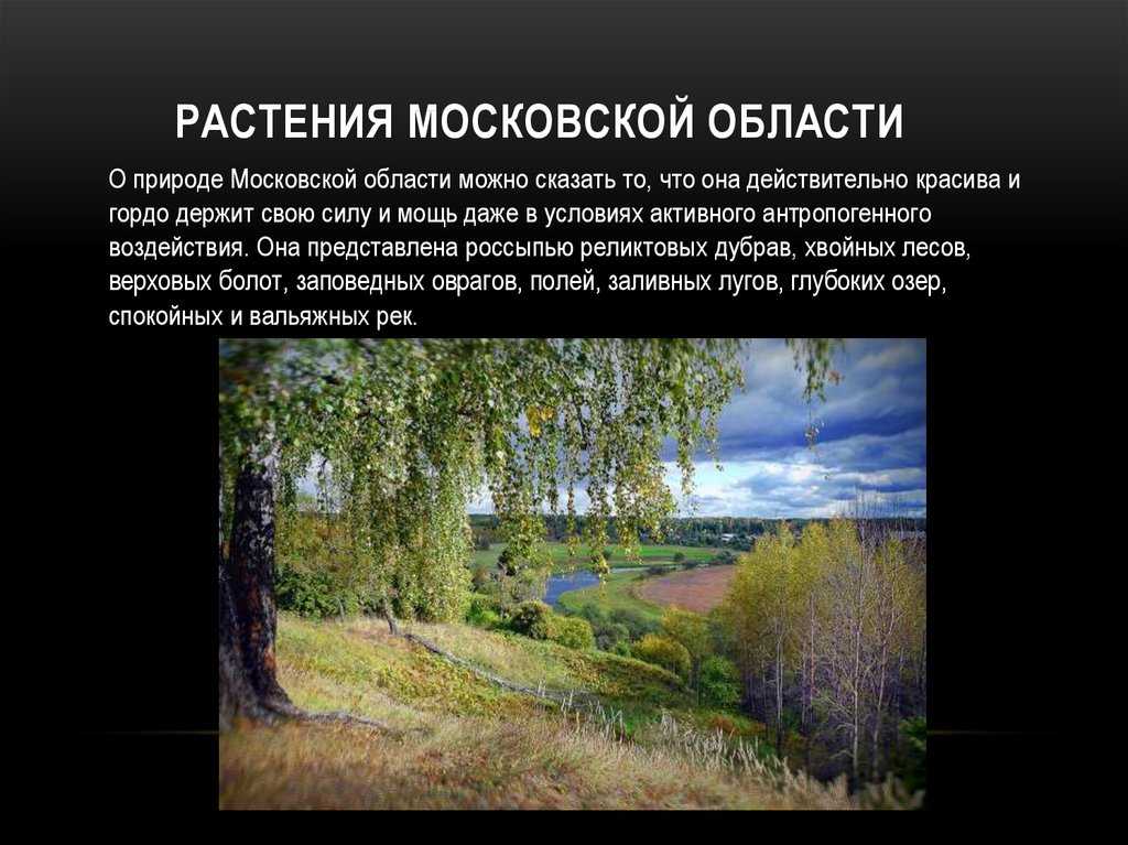 Охрана природы россии