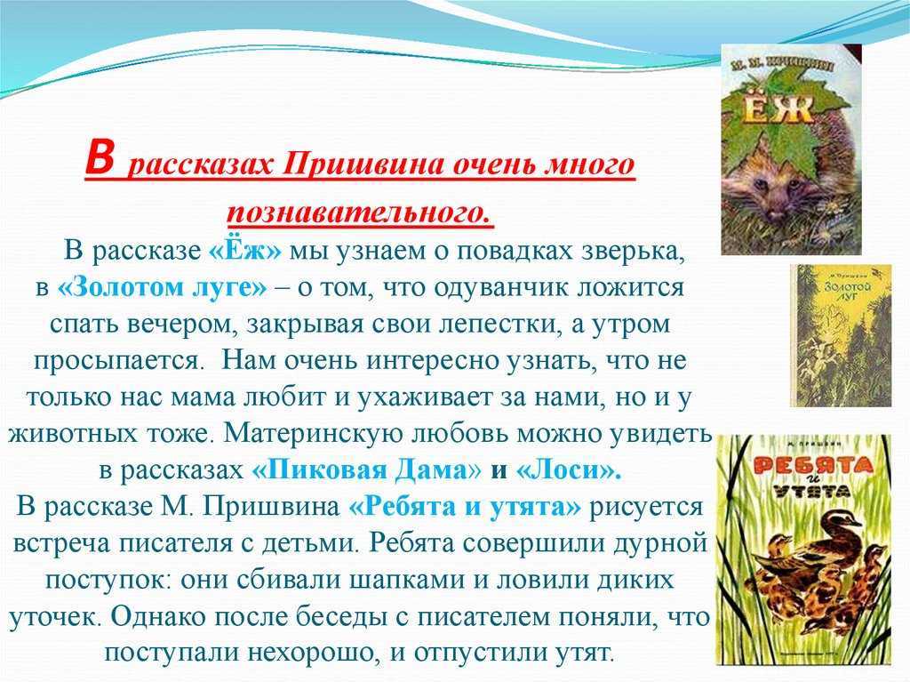 Презентация м пришвин золотой луг сравнение поэтического и прозаического текстов