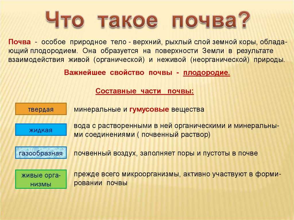 Тест по теме почва 8 класс. – mygeograph.ru