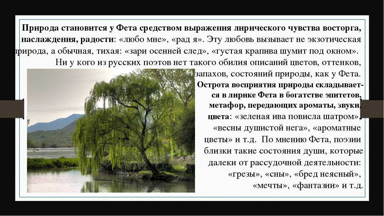 Одним из лучших поэтов пейзажного направления, во все времена, считался Фет Он оставил нам огромный дар, в виде своих стихов о красоте природы