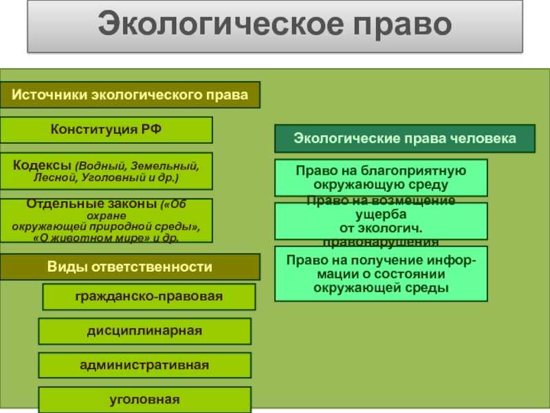 Тест с ответами экологическое право (в чьем ведении находятся …)