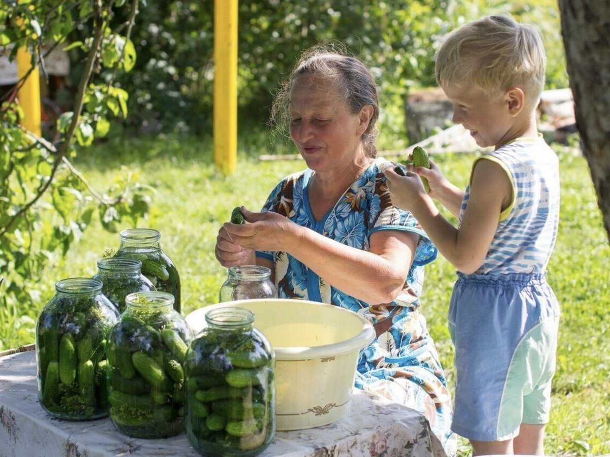 ✅ сочинение на тему лето в деревне у бабушки. как я провёл лето в настоящей деревне (школьные сочинения) как я провел каникулы деревне - лабораториякожи.рф