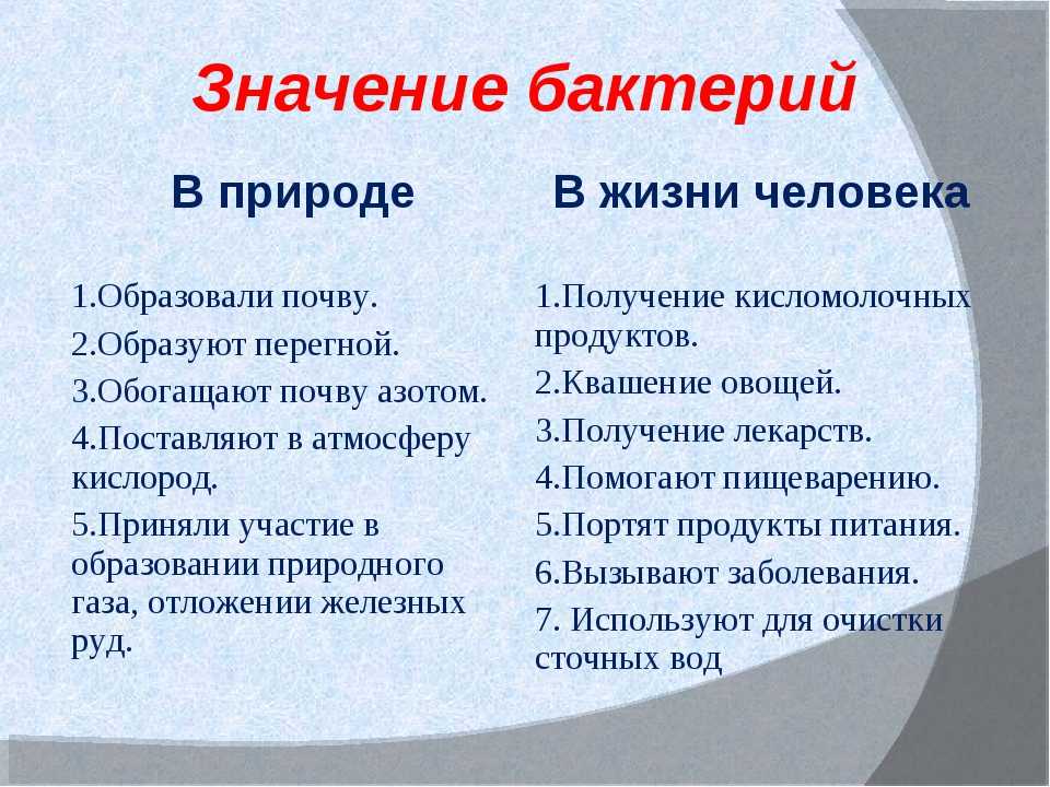 Тест по биологии бактерии 5 класс
