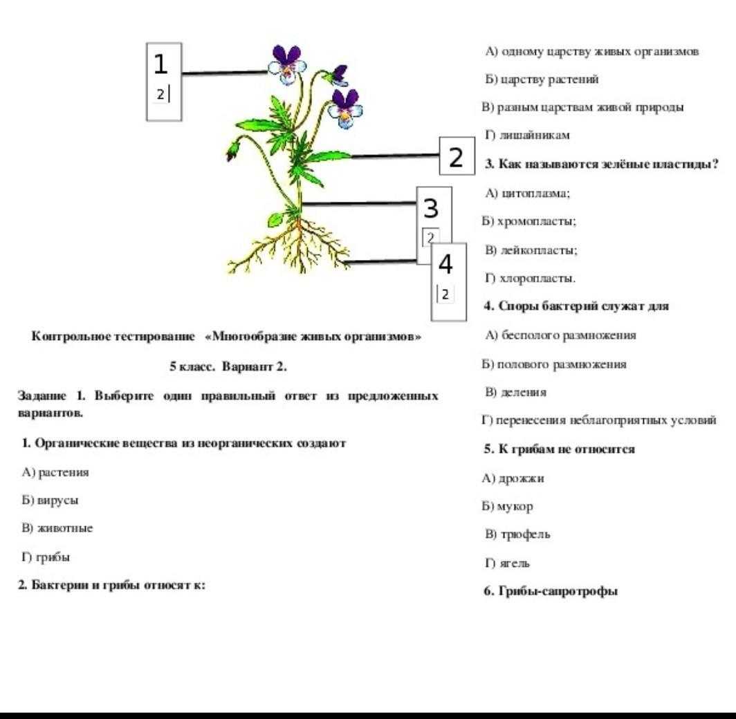 Тест классы цветковых растений 6 класс биология. Контрольная по биологии. Строение и многообразие организмов. Контрольная работа по биологии 1 класс. Тест по растениям.