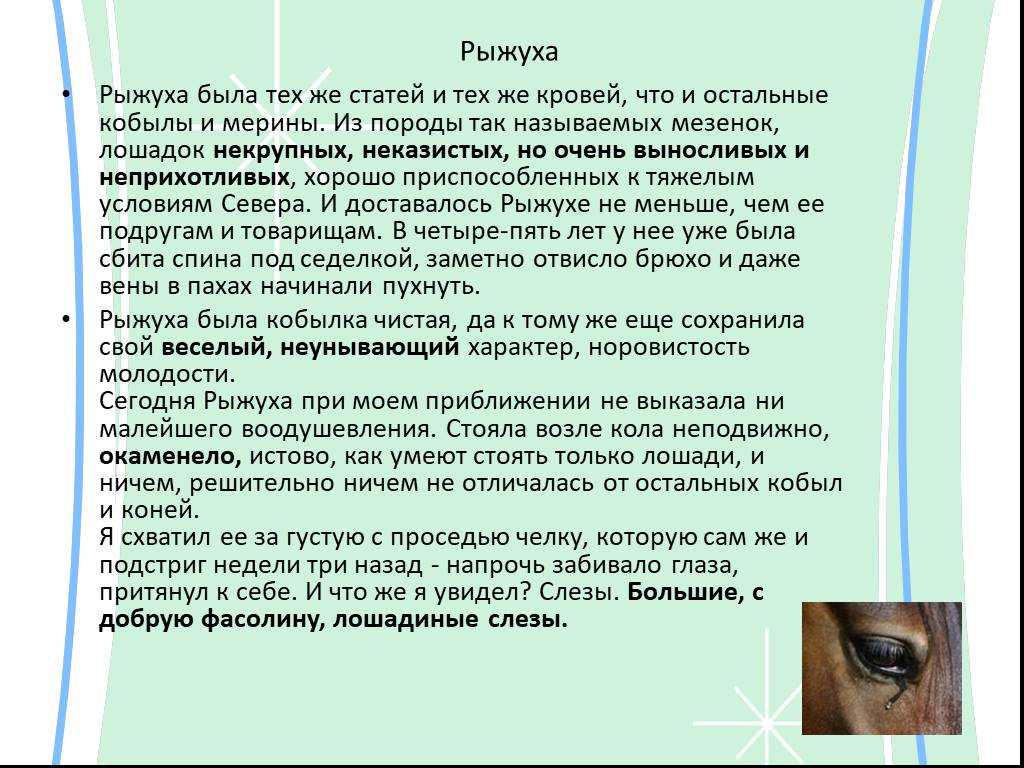 Замечательное главная мысль и смысл рассказа о чем плачут лошади
