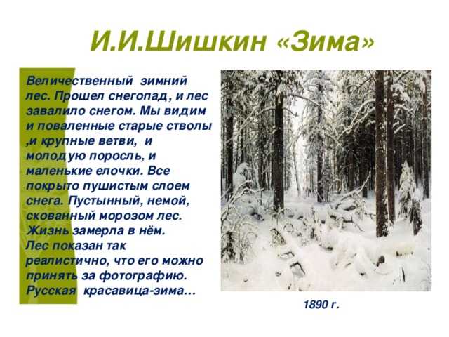 Сочинение на тему прогулка по зимнему лесу