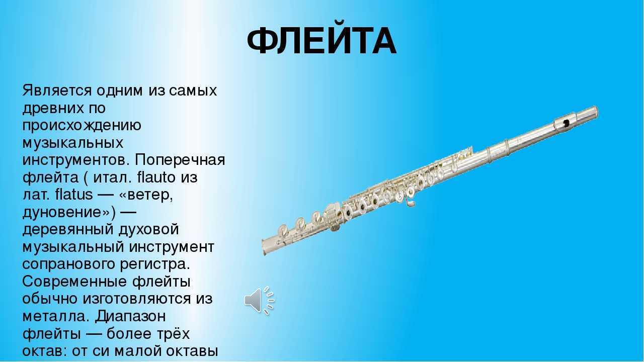 Флейта духовой музыкальный инструмент. Свирель 2 духовой музыкальный инструмент. Инструменты симфонического оркестра флейта. Флейта описание.