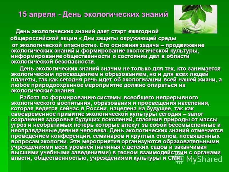 Сочинение на тему: "экология стала самым громким словом на земле"