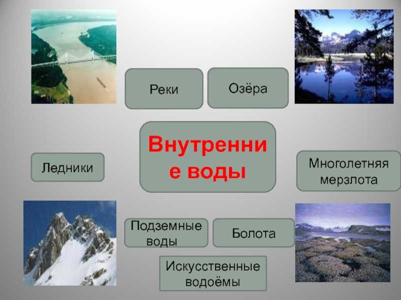 Викторина по географии: 6 класс, с ответами