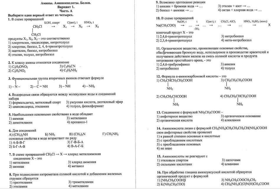 Тест по биологии химический состав клетки - белки, нуклеиновые кислоты и атф 10 класс