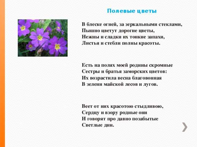 Эпитеты осенний вечер. анализ стихотворения ф.и. тютчева "осенний вечер". что в существе разумном мы зовем