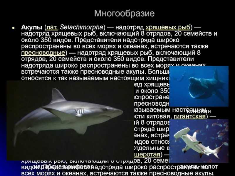 Основные отряды и особенности развития рыб (биология, 7 класс)