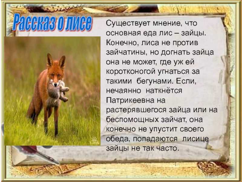 ᐉ рассвет это лучшее время суток описание, сочинение восход солнца - zoo-mamontenok.ru