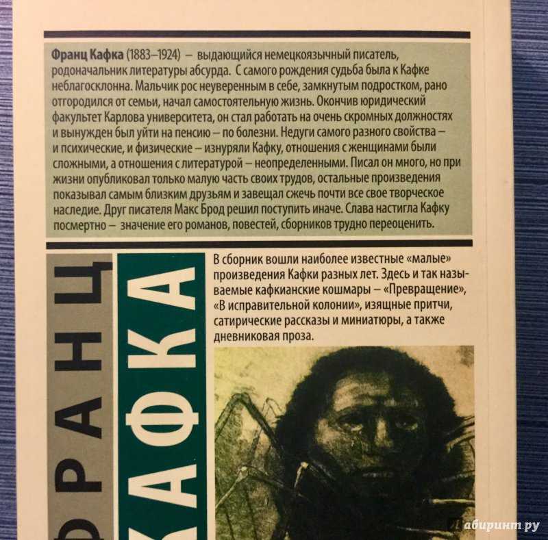 Анализ произведения "превращение" франц кафка  | литерагуру