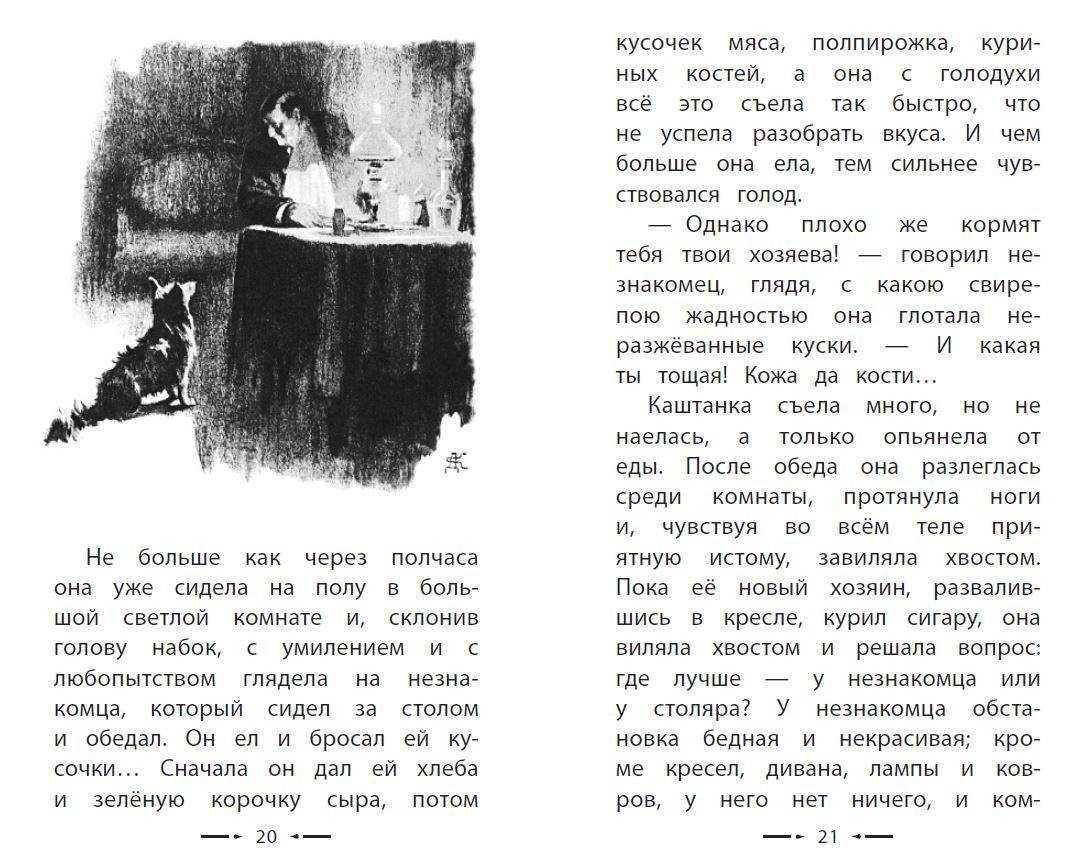 Краткое содержание каштанки 4 класс. Каштанка. Аннотация Чехов каштанка. Аннотация к книге каштанка. Рассказы (а.Чехов).