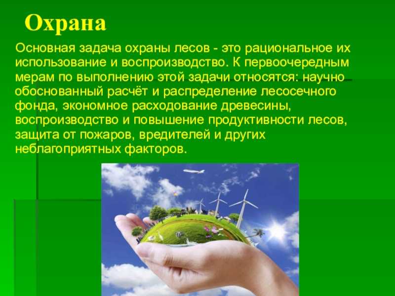 Охрана растительного мира, реферат