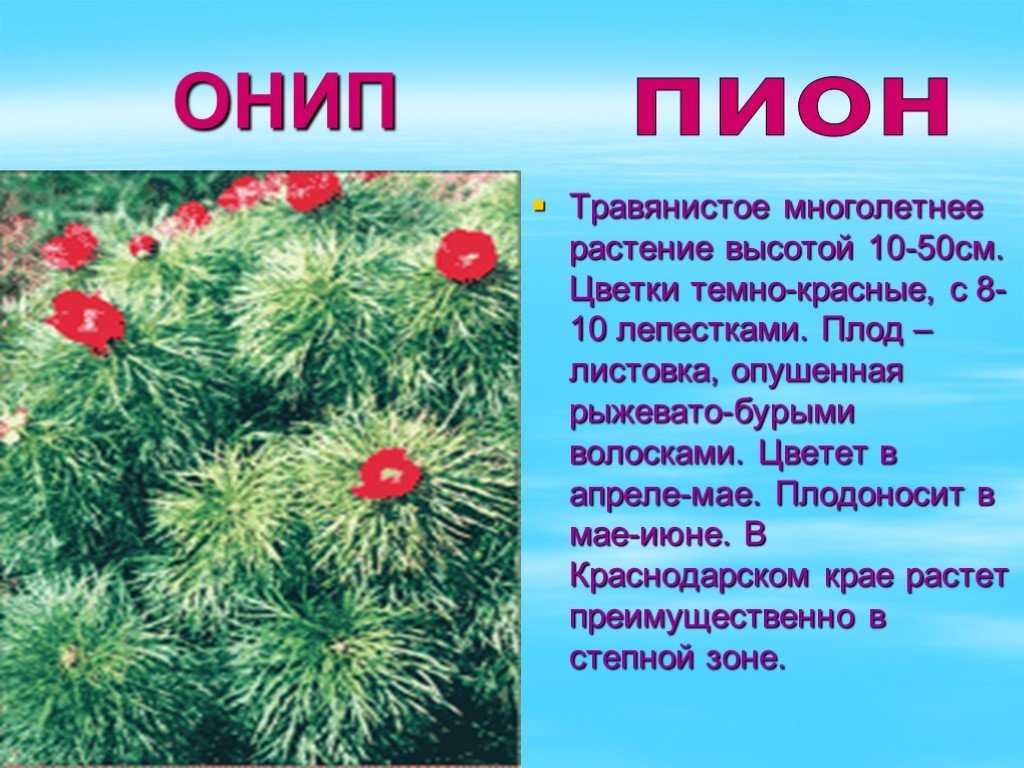 Красная книга краснодарского края
