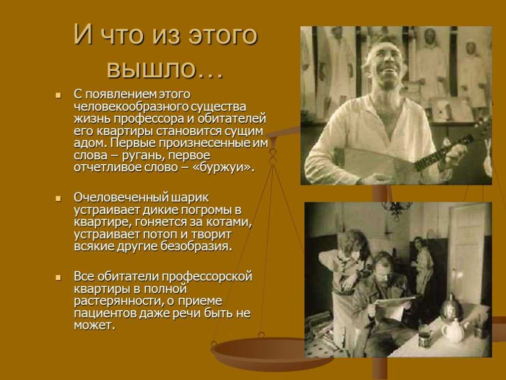 Характеристика героев «собачьего сердца»