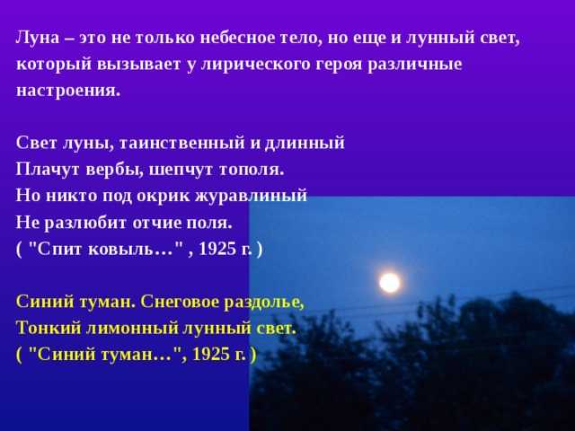Философская тема в лирике тютчева: анализ. ф. и. тютчев: философская лирика