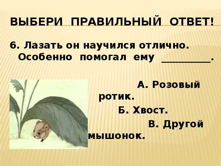 Тест по сказке в. бианки мышонок пик (литературное чтение. 3 класс. школа россии)методическая разработка по чтению (3 класс) на тему