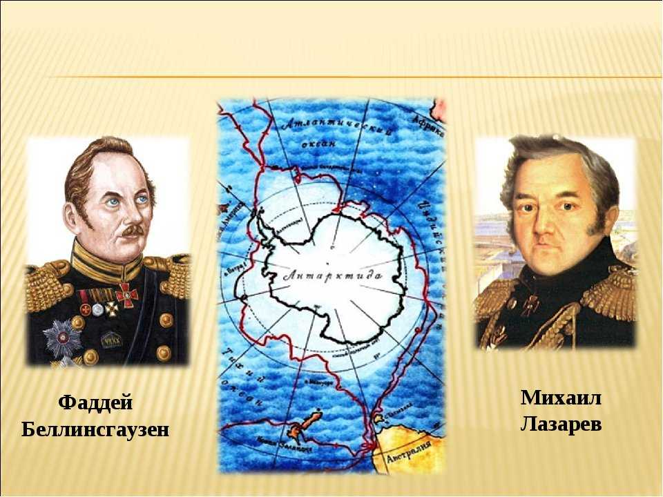 Растительный и животный мир антарктиды – животные и растения, органический мир материка