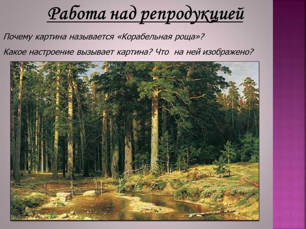 Сочинение по картине зима в лесу. иней шишкина 3 класс