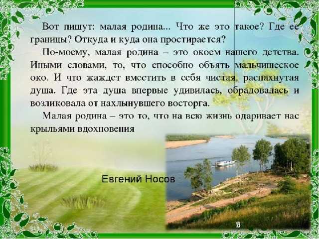 Сочинение прыщ в истории одного города салтыкова-щедрина