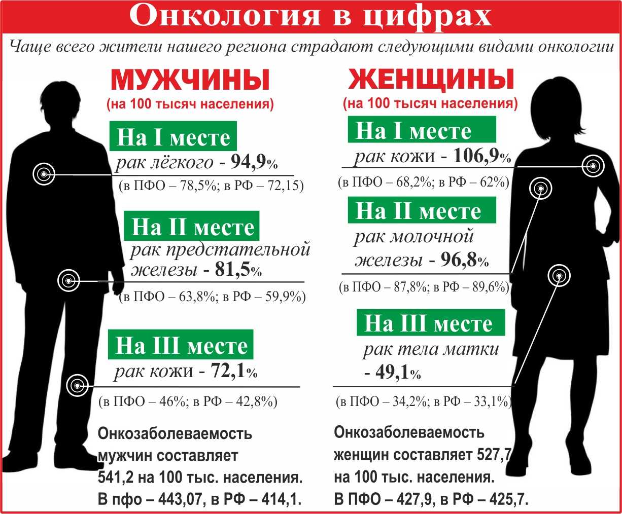 Подготовка  к госэкзаменам, как сдать госы в институте: очникам и заочникам