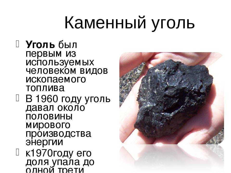 Каменный уголь - полезное ископаемое сообщение доклад