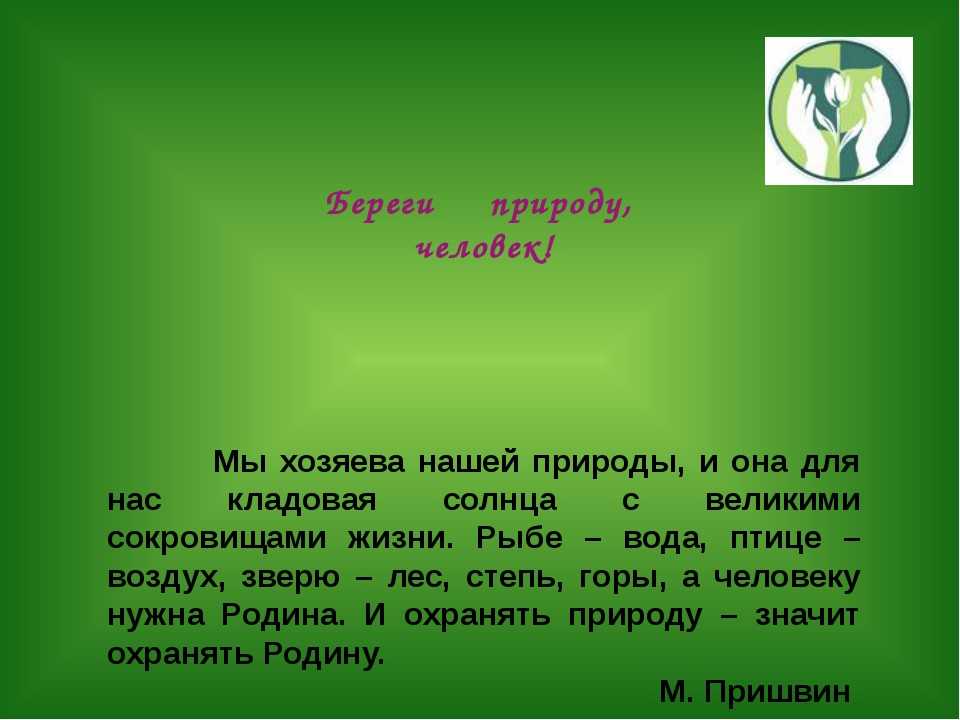 Сочинение как я могу помочь природе