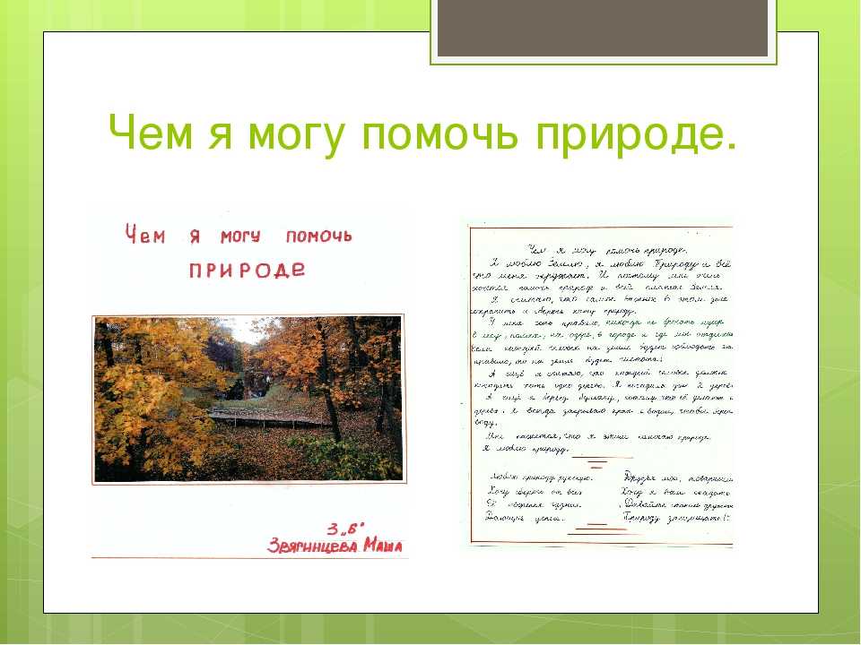 Что мы охраняем природу или свою жизнь. сочинение на тему "как я могу помочь природе". сочинение на тему «как я помог природе»