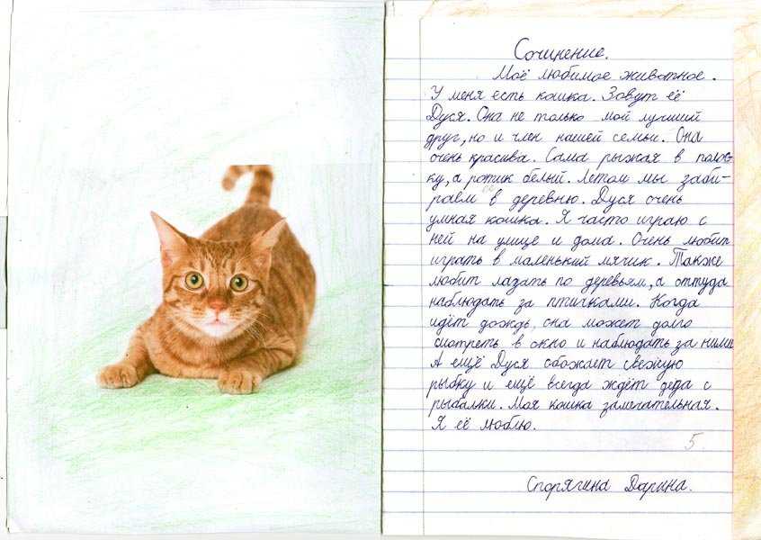 Животный мир такой разнообразный и богатый, что многие люди и не представляют этого Как долго человек живет на этом свете и как мало он знает об окружающей ее природе и животном мире