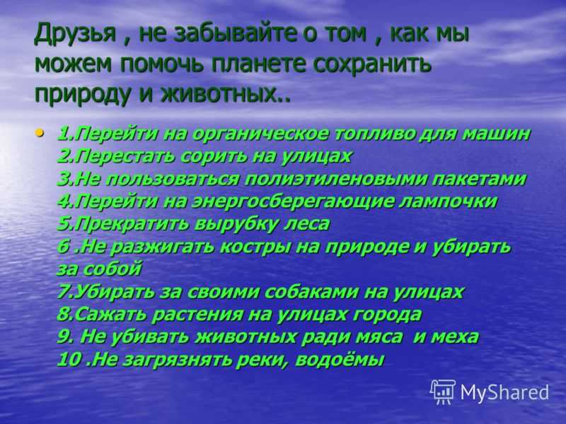 Сочинение моя помощь природе