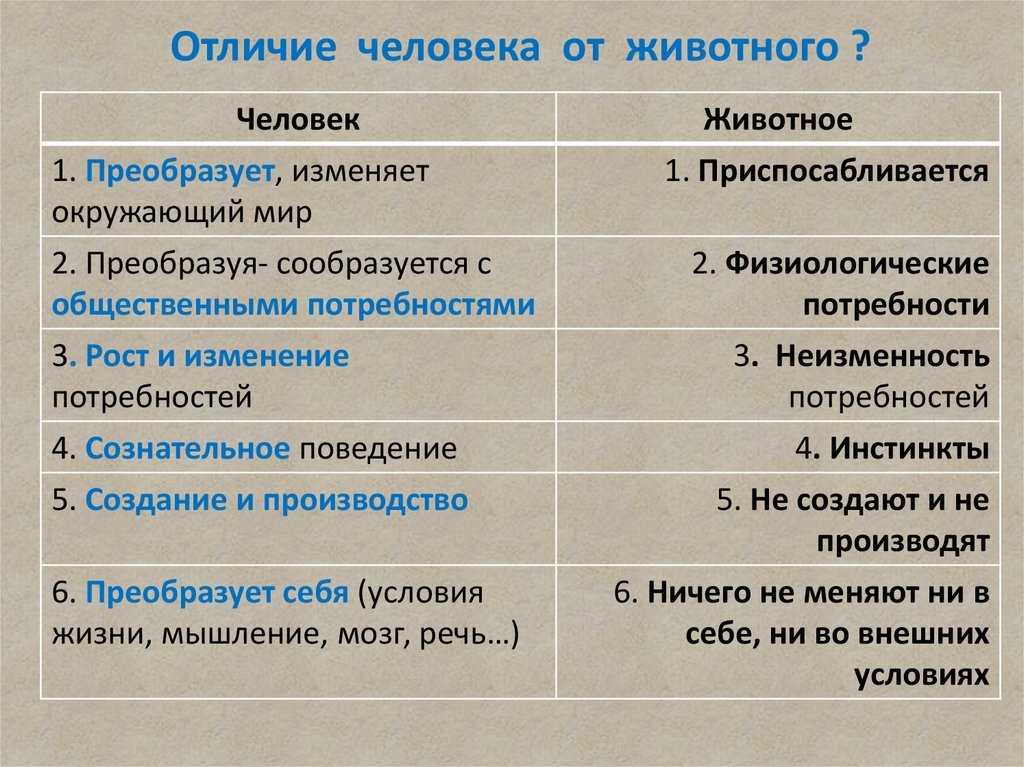 Жизненные ценности - сочинение-рассуждение 9 класс 15.3