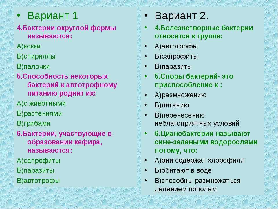 Плесневые грибы и дрожжи, 5 класс