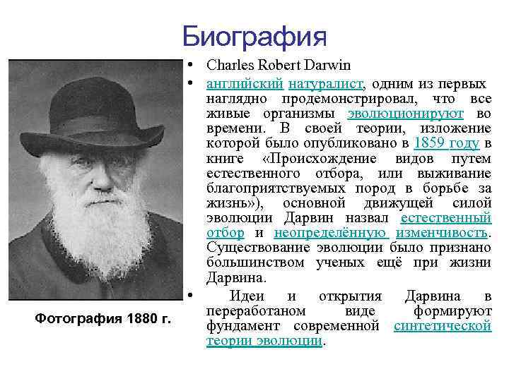 Теория эволюции дарвина. 7 мифов о дарвине, его теории и вере.