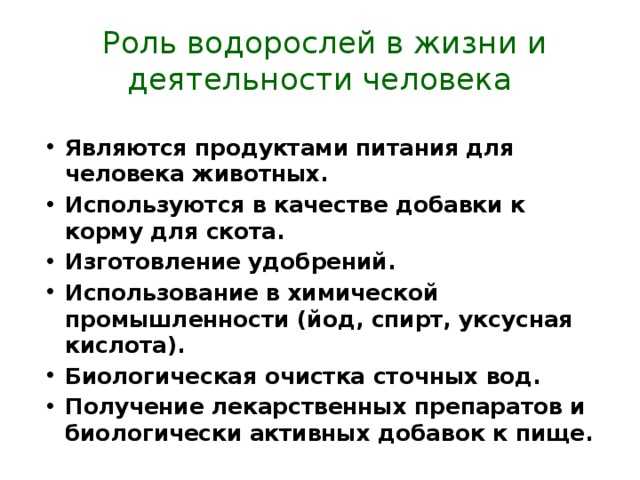 Тест по биологии роль водорослей в природе и жизни человека для 5 класса