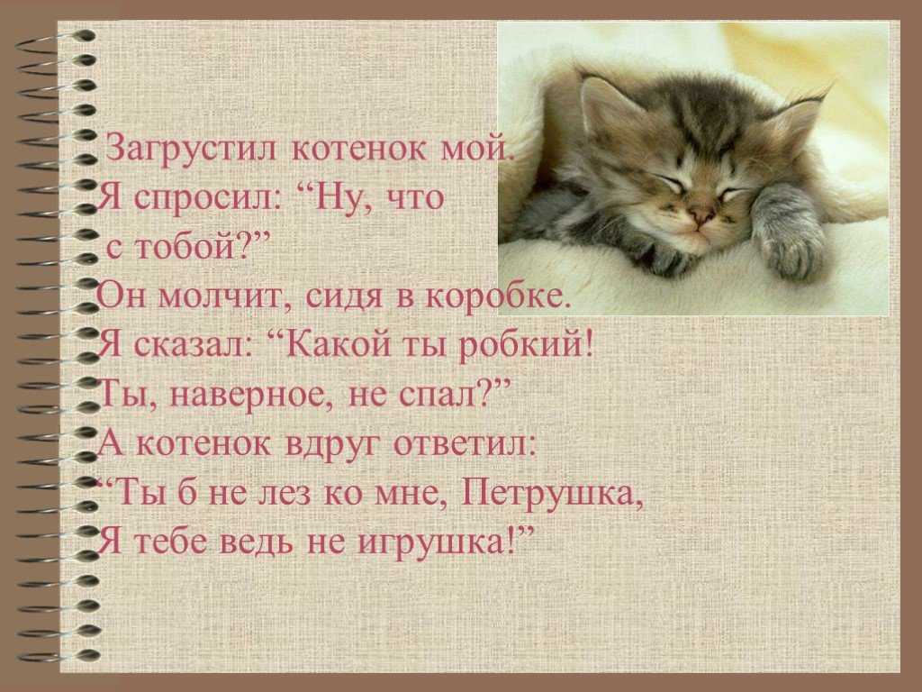 Почему люди больше любят животных, чем остальных людей?