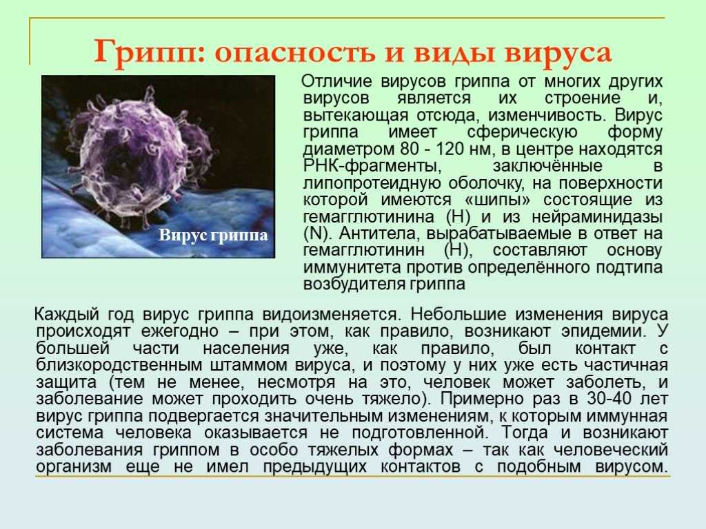 Вирусы и борьба с ними презентация биология