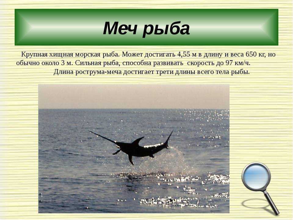 Мир интересного и удивительного
