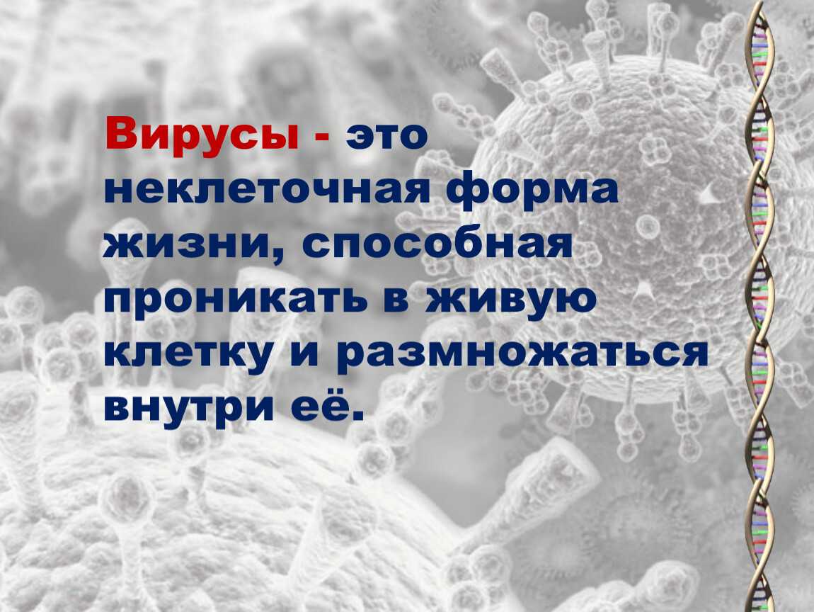 Смс вируса. Презентация на тему вирусы. Презентация по биологии вирусы. Тема вирусы 5 класс биология. Презентация на тему вирусы по биологии.