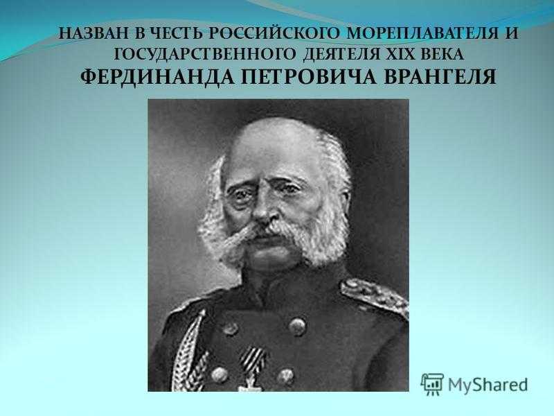 Франц шуберт биография, краткое содержание и самое важное, интересные факты о композиторе