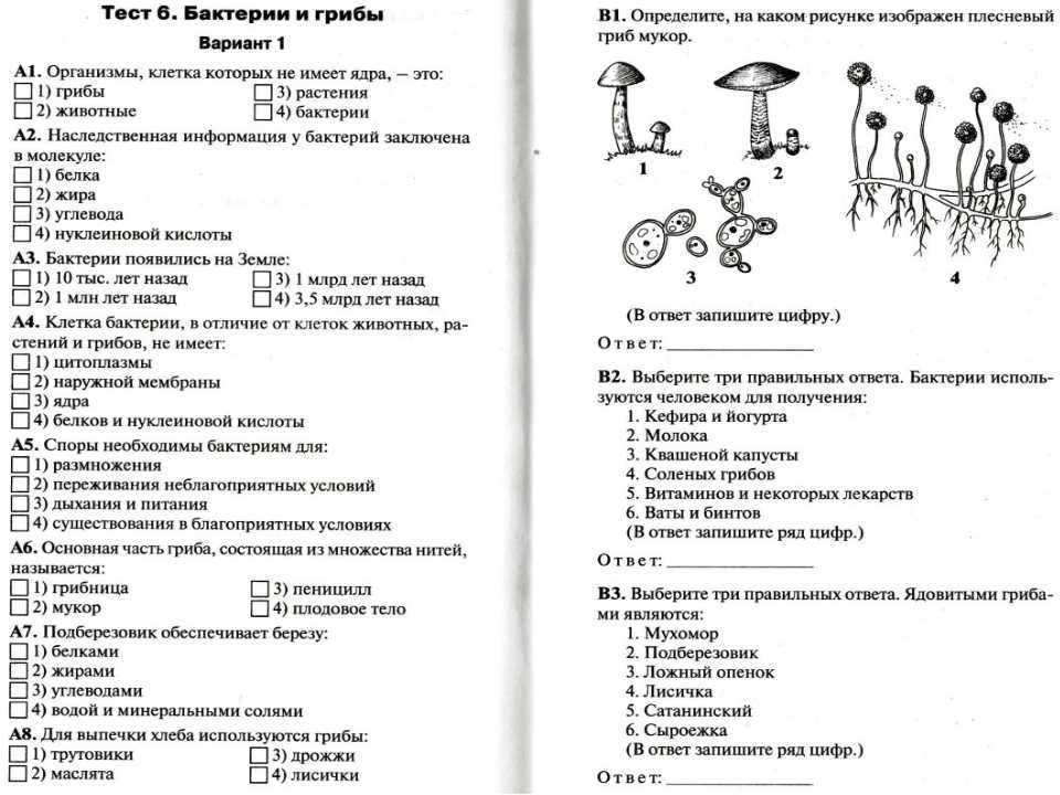 Тест по биологии отдел покрытосеменные растения 7 класс