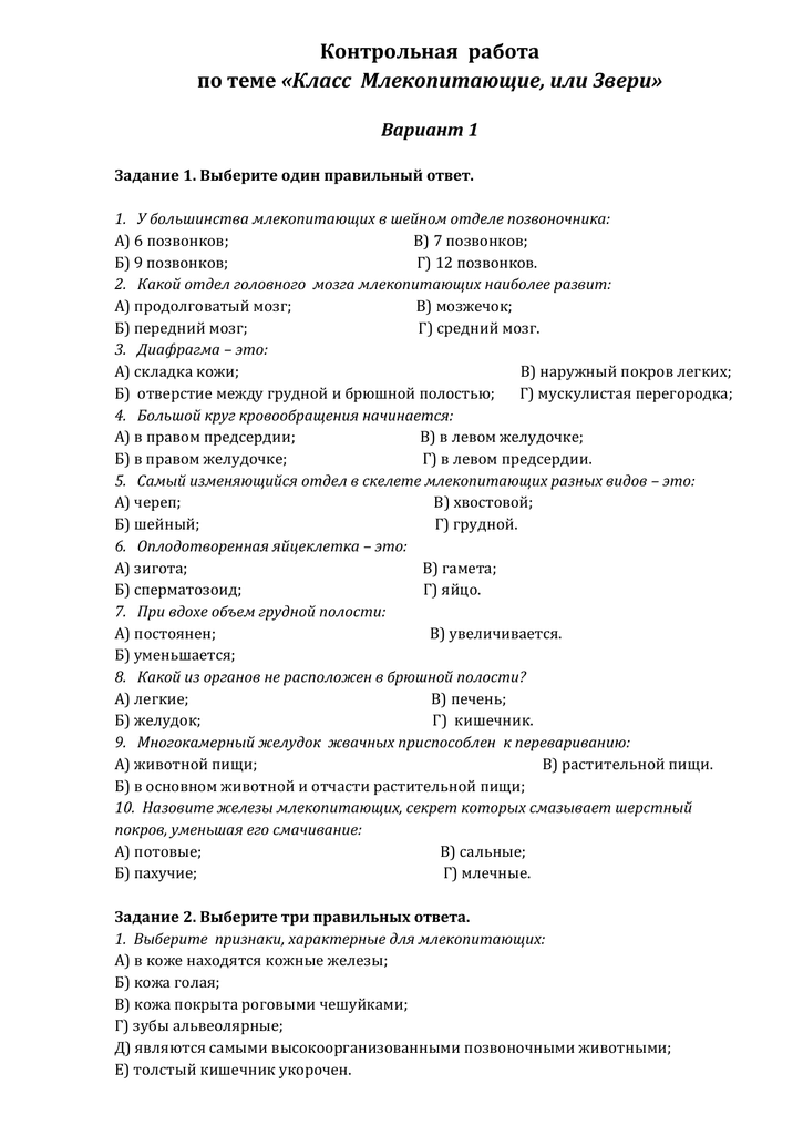 Класс птицы