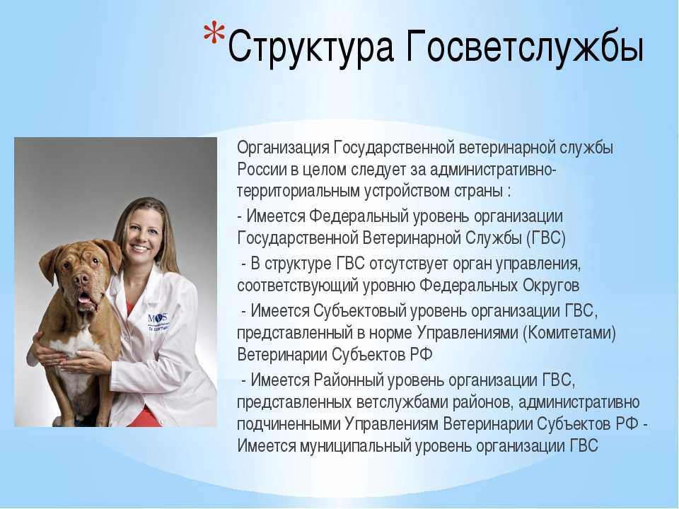 Методы лабораторной диагностики инфекционных заболеваний животных – научные статьи о ветеринарии животных