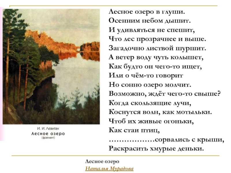 Однажды мы с родителями решили отправиться в лес В лесу можно отдохнуть от городской суеты, насладиться природой и подышать свежим воздухом