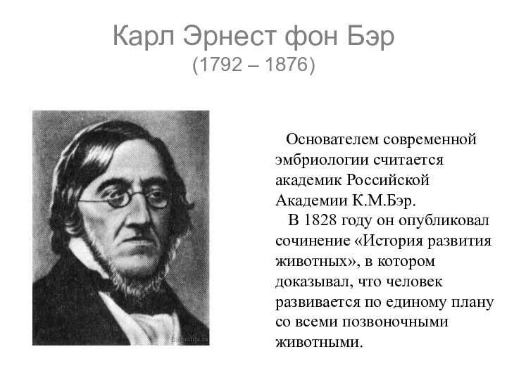Бэр ученый. карл максимович бэр: его вклад в биологию, краткая биография