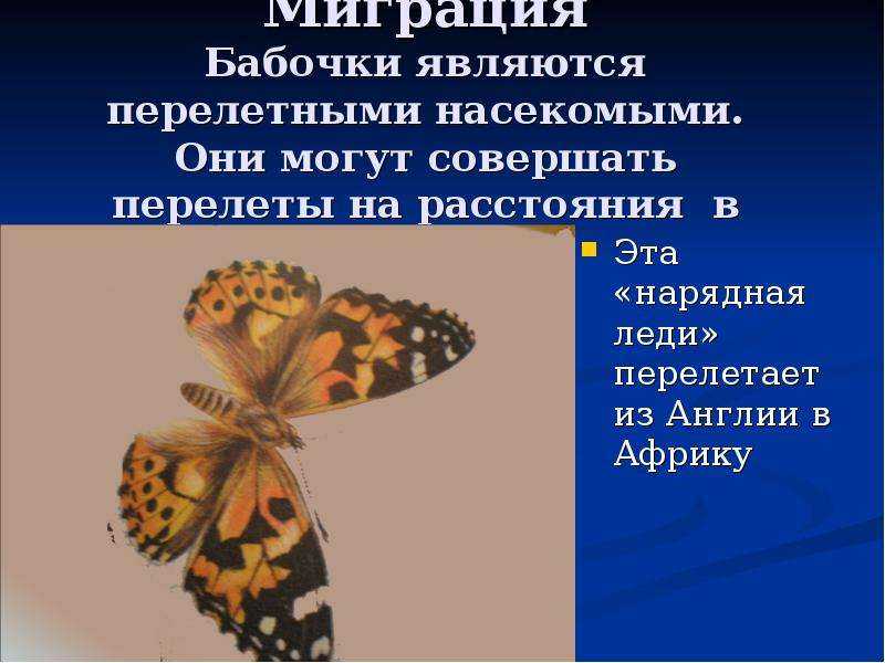 Сообщение о планете венера 5 класс – планета венера - сообщение оклад