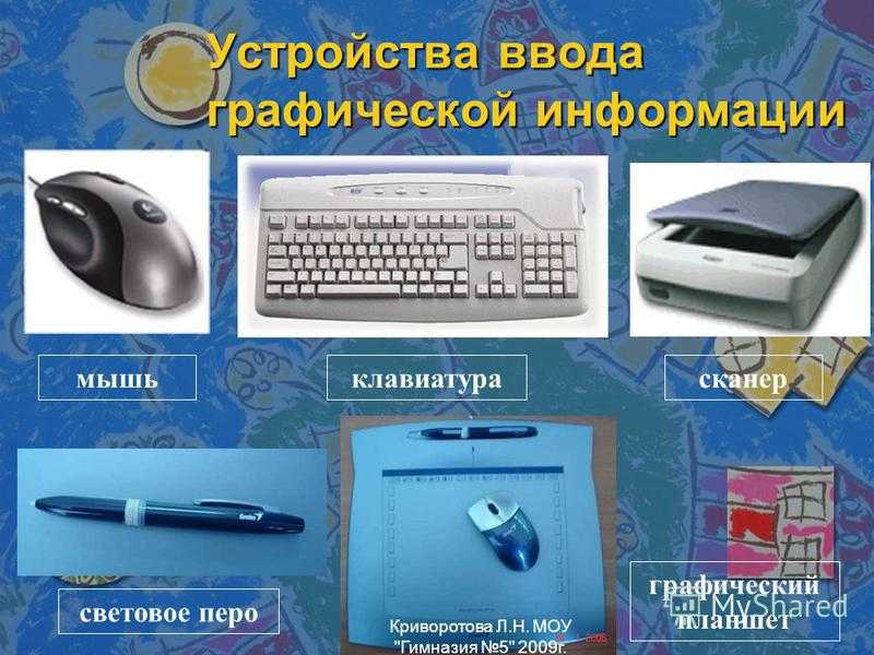 Тест по информатике графический редактор. устройства ввода графической информации для 5 класса